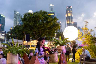 Green plants, close-up, with leaves and stems, natural light.