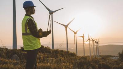 Green canopy of trees, sunlight filtering through leaves.