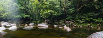 Header image: Green canopy, text "Campaigns", ACF logo.