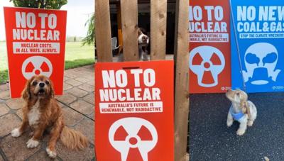 Woman in white shirt, holding a phone, smiling, with a blurred background.