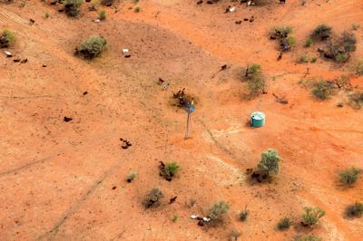 Header image: Climate change impacts. Blue sky, text, graphic of a globe with weather icons.