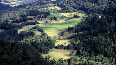 Farmland landscape, green fields, blue sky, header image.