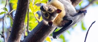 Woman in a red dress, standing on a beach, looking at the ocean.