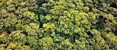 shutterstock_1600790482