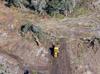 North-east Tasmania Landclearing
