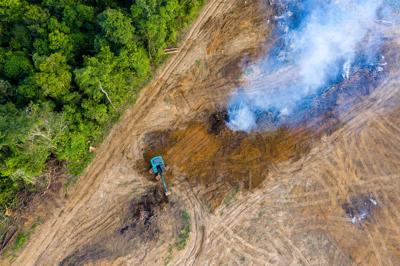 Deforested landscape with scattered trees and exposed earth, illustrating environmental damage.